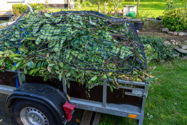 Best Dumpster Rental Services  in Ashwaubenon, WI